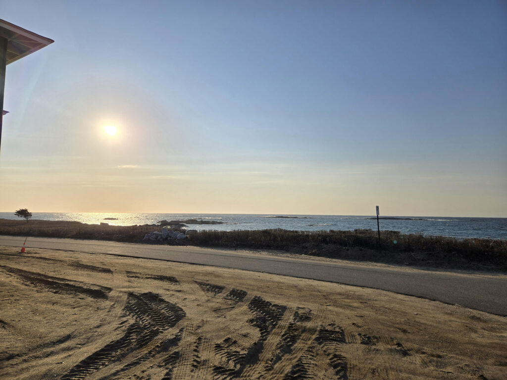 Sunlit beach scene with tire-marked sand, a road, and the sea under a clear sky; a building edge on the left and a small tree by the shore.